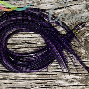 12 Grizzly dyed Purple Feather Hair Extensions, up to 18" long, Premium Whiting Farms Rooster Feathers