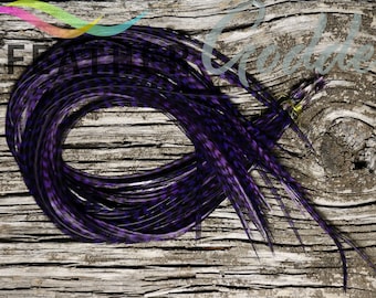 12 Grizzly dyed Purple Feather Hair Extensions, up to 18" long, Premium Whiting Farms Rooster Feathers