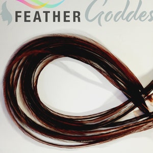 6 Coachman Brown, XXXL Premium Feather Hair Extensions with 3 Free Crimp Beads