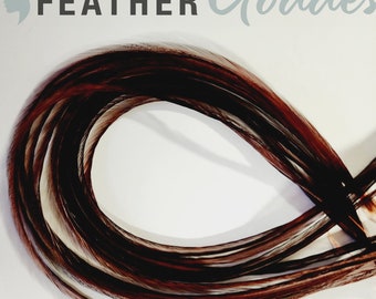 Coachman Brown Feather Hair Extensions, Premium Whiting Farms Feathers