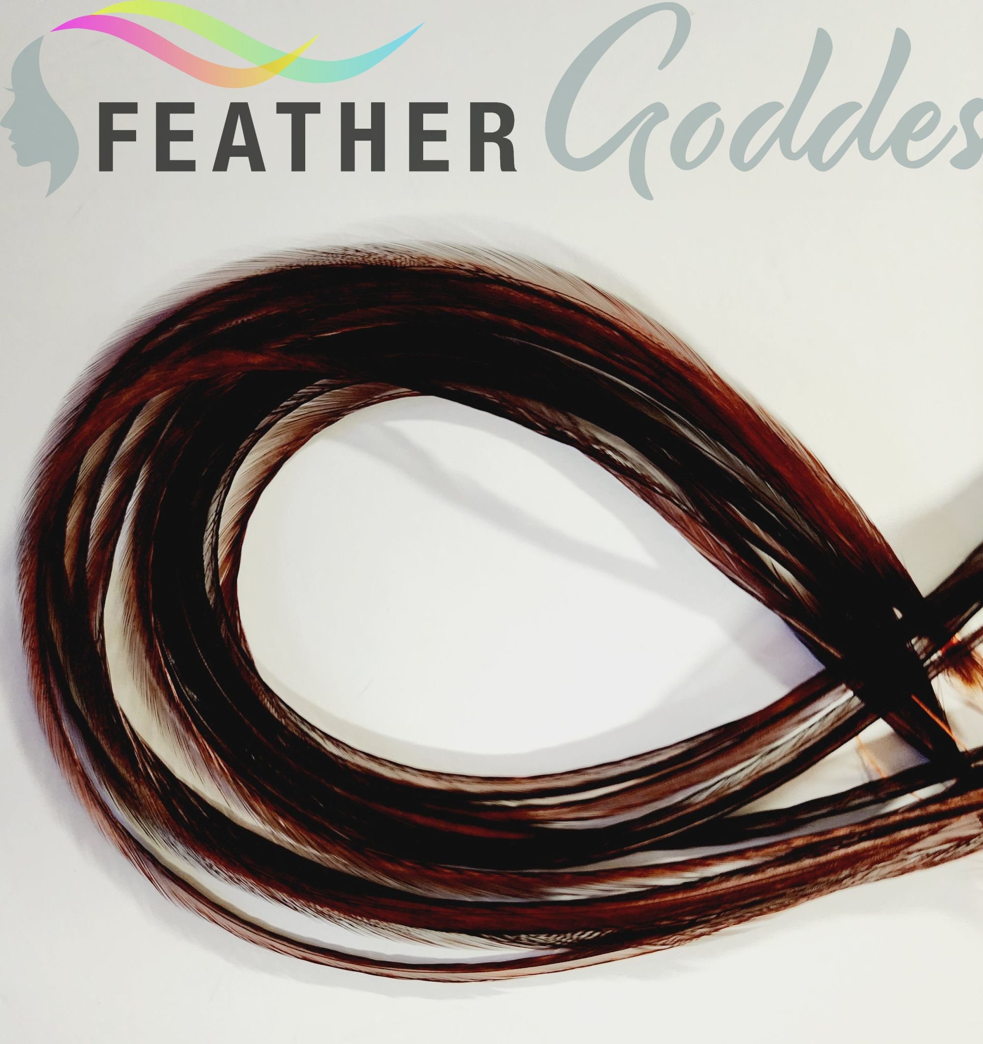flowerlower320design Brown Feather 6 Coachman Brown, XXXL Premium Feather Hair Extensions With