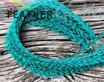 Aquamarine Grizzly Feather Hair Extensions, Premium Dyed Rooster Feathers
