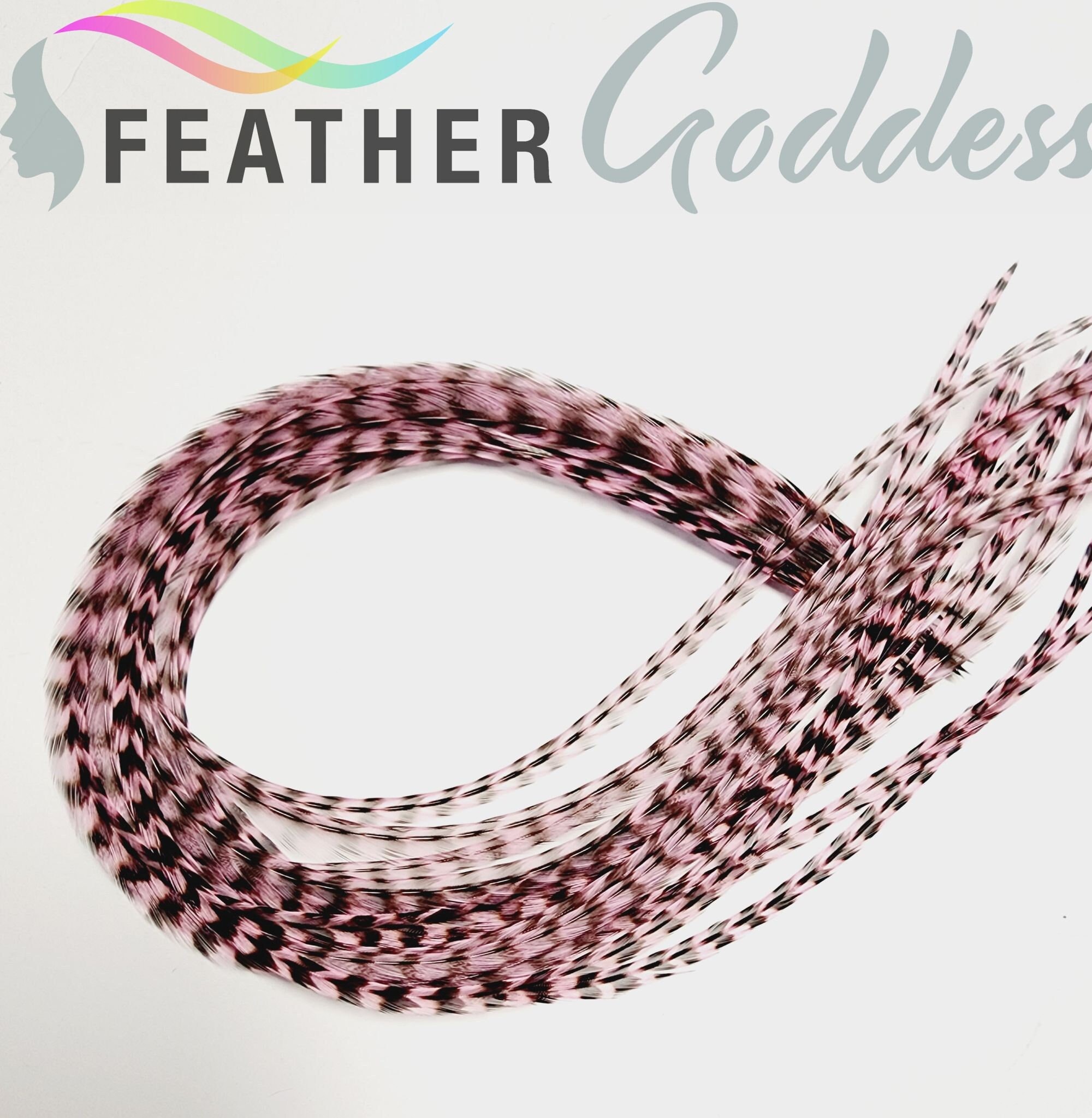 Seashell Pink Grizzly Feather Hair Extensions with 3 Free Crimp Beads