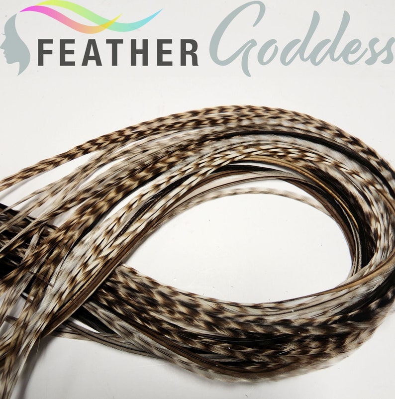 6 Coffee and Cream, XXXL Premium Feather Hair Extensions with 3 Free Crimp Beads image 1