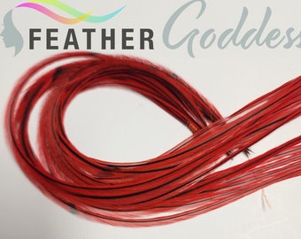 Red Pin Stripe Feather Hair Extensions with Crimp Beads