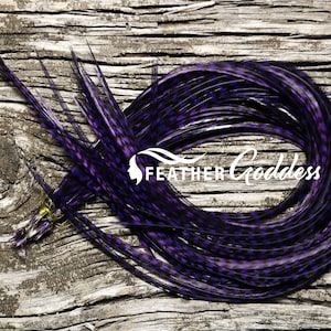 6 Grizzly dyed Purple Feather Hair Extensions with 3 FREE Crimp Beads