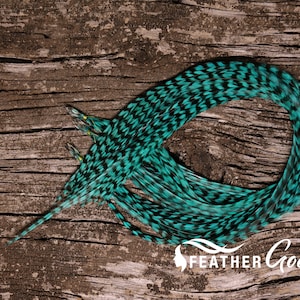 12 Teal Grizzly Rooster Hair Feather Extensions