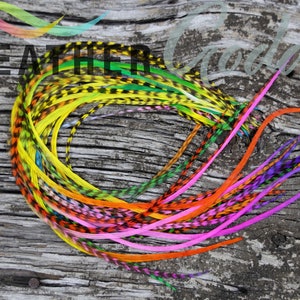 6 Rainbow Feathers Hair Extensions 12" to 14" long, with 3 FREE Crimp Beads