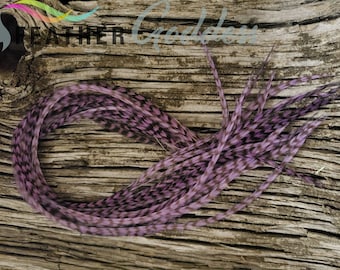 May include: A bundle of purple and black feathers with a chevron pattern. The feathers are arranged in a circle on a wooden surface.