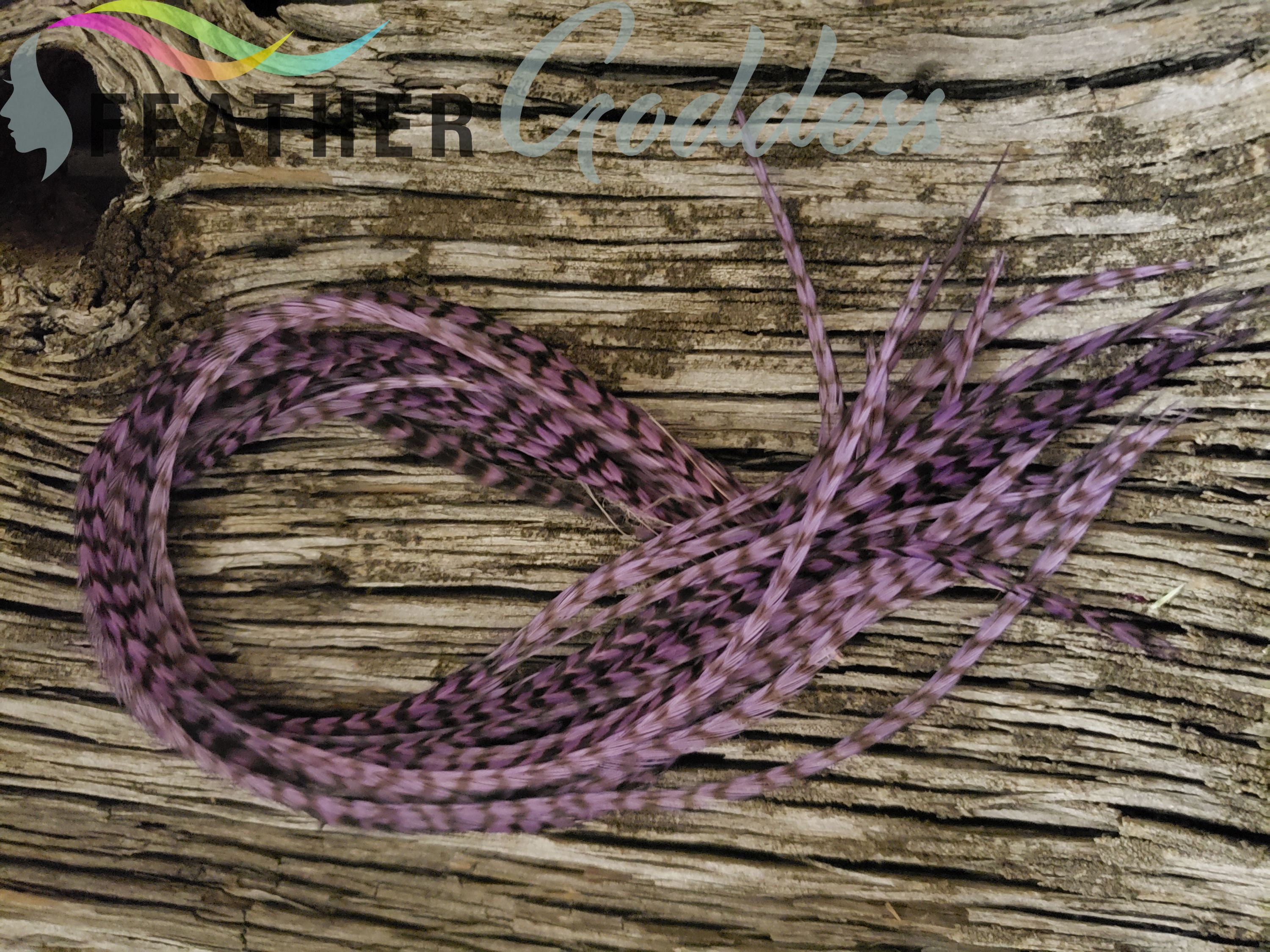 100 XXL Berry Coloured Hair Feathers - 9-15 inches