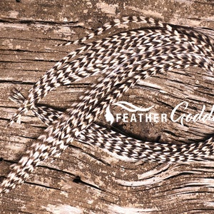 12 Super Long Natural Grizzly Hair Feathers, up to 18&quot; long, Premium Whiting Farms Rooster Feathers