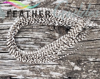 Grizzly XXXL Premium Hair Feather Extensions (6) + Crimp Beads