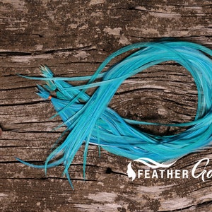 12 Turquoise Hair Feather Extensions