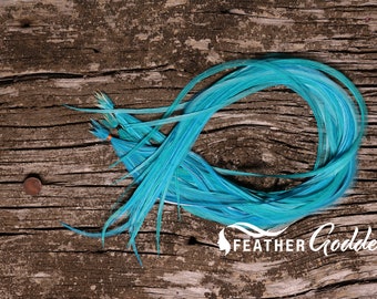May include: A bundle of teal blue feathers arranged in a circle on a rustic wooden surface. The feathers are long and thin, with a slight gradient from dark to light blue. The text "FEATHER GODDESS" is visible in the lower right corner of the image.