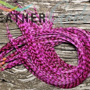 12 Grizzly dyed Hot Pink Feather Hair Extensions, Premium Whiting Farms Rooster Feathers