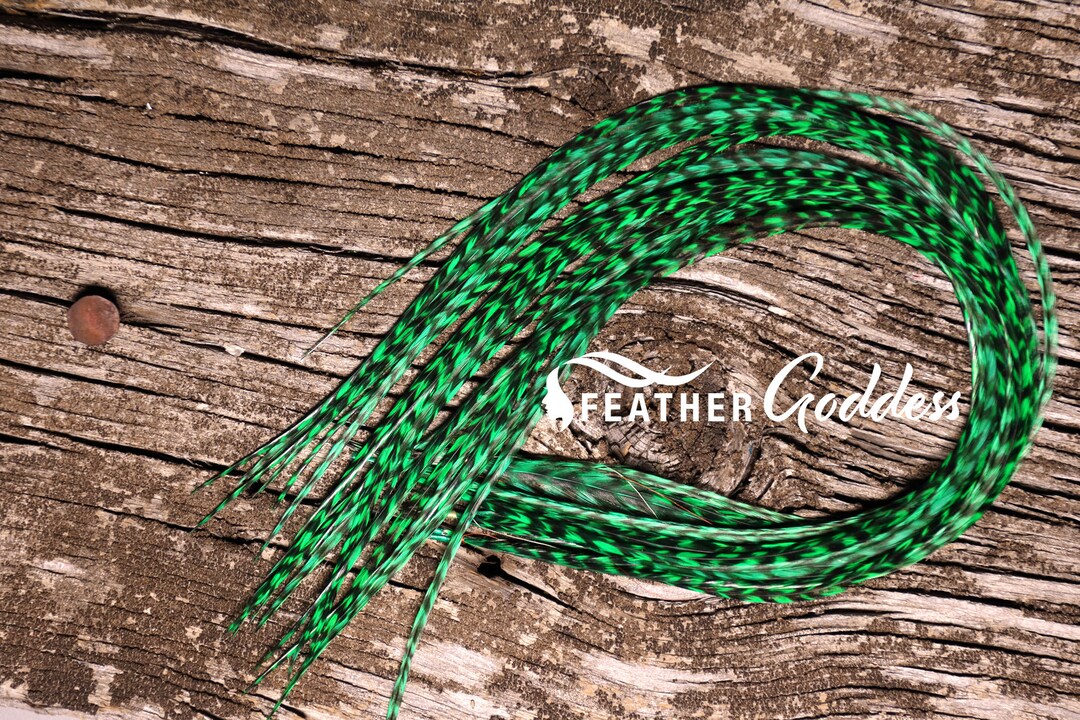 6 Grizzly Dyed Spearmint Feather Hair Extensions With 3 FREE Crimp Beads Etsy