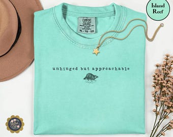 Może przedstawiać: Miętowy t-shirt z okrągłym dekoltem, czarnym napisem unhinged but approachable oraz małą ilustracją szopa pracza. Koszulka posiada metkę Comfort Colors przy wewnętrznym dekolcie i jest prezentowana wraz ze złotym naszyjnikiem z gwiazdką.