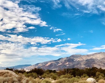 Póster de Lone Pine Lands