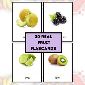 30 Fruit Flashcards  Real Photos Printable flashcard Fruit Learning Cards  Kids flashcard Montessori Flash Cards Montessori classrooms