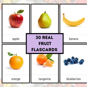 30 Fruit Flashcards  Real Photos Printable flashcard Fruit Learning Cards  Kids flashcard Montessori Flash Cards Montessori classrooms