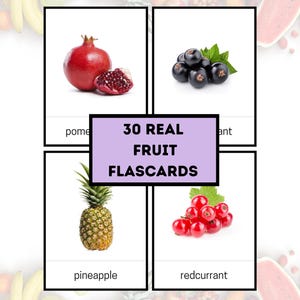 30 Fruit Flashcards  Real Photos Printable flashcard Fruit Learning Cards  Kids flashcard Montessori Flash Cards Montessori classrooms