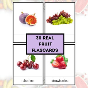 30 Fruit Flashcards  Real Photos Printable flashcard Fruit Learning Cards  Kids flashcard Montessori Flash Cards Montessori classrooms