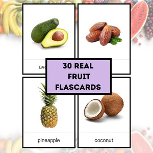 30 Fruit Flashcards  Real Photos Printable flashcard Fruit Learning Cards  Kids flashcard Montessori Flash Cards Montessori classrooms