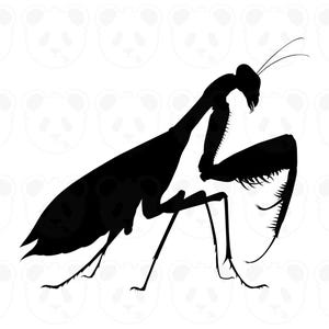 May include: A black silhouette of a praying mantis insect. The mantis is depicted in a side profile, showcasing its distinctive body shape, including its large, grasping forelegs and elongated body. The background is white with panda bear faces.