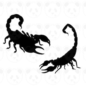 May include: Two black scorpion silhouettes are displayed against a white background with panda bear faces. The scorpions are detailed, showing their segmented bodies, claws, and curved tails. The image is a graphic design.