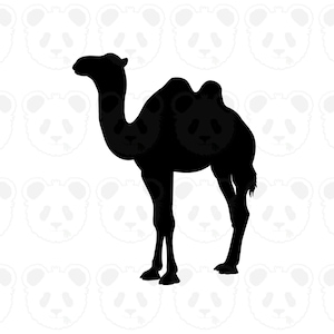 May include: A black silhouette of a camel. The camel is depicted in profile, with two humps and a long neck. The background features a pattern of white panda faces.
