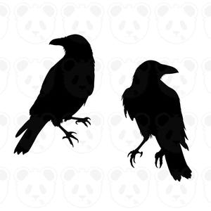May include: Two black raven silhouettes are shown against a white background with panda bear outlines. One raven is upright, the other angled. The ravens have detailed beaks and clawed feet, creating a striking contrast.