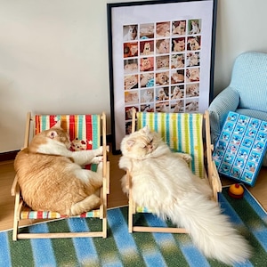 May include: Two cats relaxing in miniature beach chairs with colorful striped fabric. One cat is orange and white, the other is white. A framed collage of cat photos is in the background, along with a blue patterned chair and a Stitch-themed game.