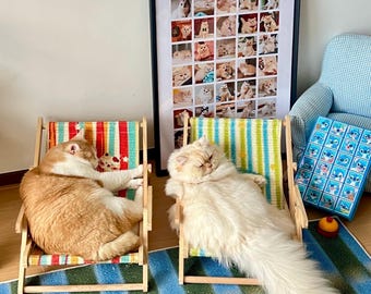 May include: Two cats relaxing in miniature beach chairs with colorful striped fabric. One cat is orange and white, the other is white. A framed collage of cat photos is in the background, along with a blue patterned chair and a Stitch-themed game.