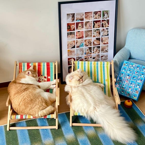 Foldable Cat Recliner: Stylish&Eco-Friendly Scratch Solution|Multiple Angles|Tough Sisal Mat|Scratch-Resistant|Eco-Friendly Ink|Solid Wood
