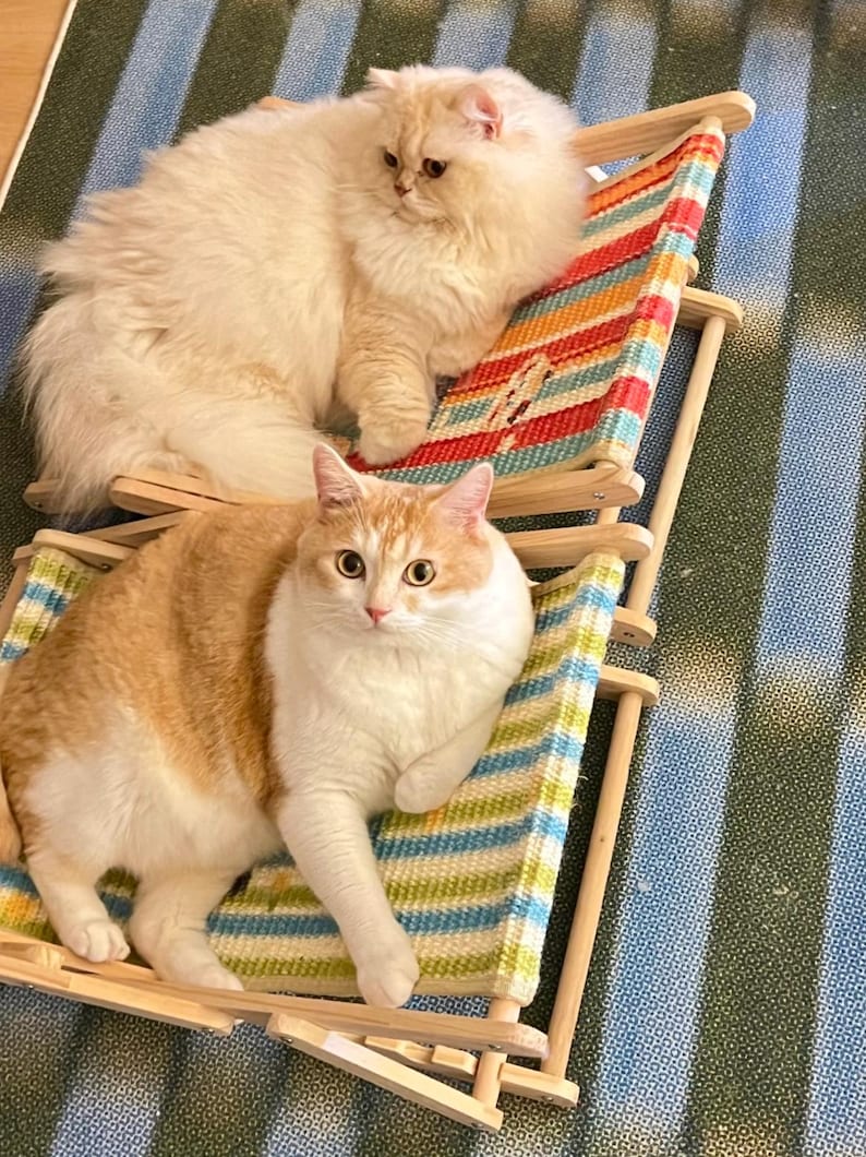 May include: Two cats lounging on miniature wooden beach chairs with colorful striped fabric. One cat is a fluffy cream color, the other is orange and white. The chairs are on a striped rug.