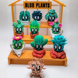 Blob Plant Decor Gift: Including New Expanded Desert Plants