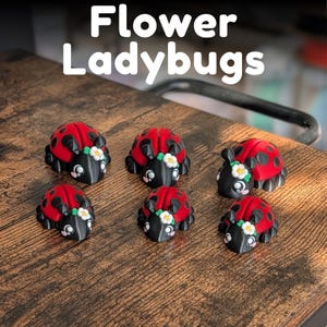 May include: Six 3D-printed ladybug figurines with red shells and black spots. Each ladybug has a black head and body, adorned with a white flower crown. The text "Flower Ladybugs" is at the top.
