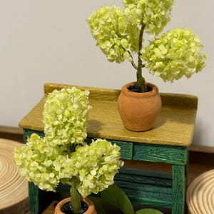 Miniatur Hortensie Pflanze im Blumentopf- 1:12