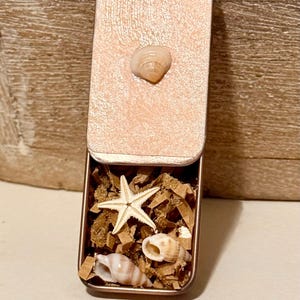 May include: A small, open, rectangular, rose-gold colored tin filled with seashells and a starfish. The lid is attached and has a small seashell glued to the top. The tin contains brown packing material.