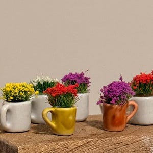 Puede incluir: Colección de plantas en macetas en pequeñas tazas y macetas de cerámica. Las plantas presentan flores amarillas, blancas, rojas y moradas. Las tazas son blancas, amarillas y naranjas, dispuestas sobre una superficie de madera.