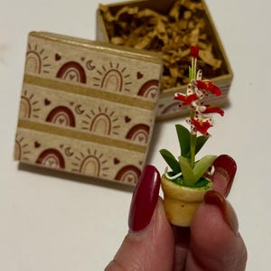 May include: Miniature potted orchid with red and white flowers, green leaves, and a yellow pot. A small gift box with a rainbow and sun pattern is nearby. The box is tan with a repeating pattern of rainbows, suns, and hearts.