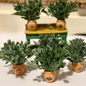 Puede incluir: Varias plantas verdes artificiales pequeñas en macetas naranjas decorativas. Las plantas tienen un follaje denso y redondeado. Algunas macetas están sobre una pequeña mesa verde. Las macetas tienen una etiqueta "Premium Quality".