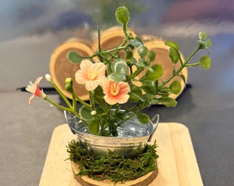 Miniature Plant and Flowers in a Tin Bucket-Farmhouse or Fairy Garden