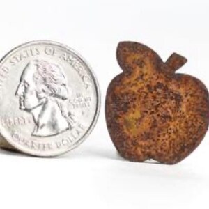 May include: A small, rustic metal apple decoration with a quarter for size comparison. The apple is brown with a textured surface and a small stem. The quarter is silver and shows a profile of a person.