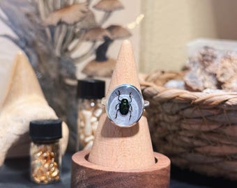 Jewel Beetle Sterling Silver Ring