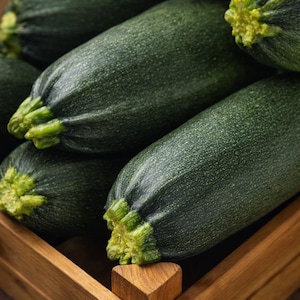 Dunja Organic (F1) Squash Seeds