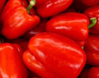 Sweet Bell Pepper Seeds