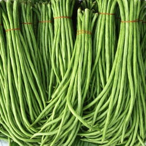 Green Yard Long Bean Seeds
