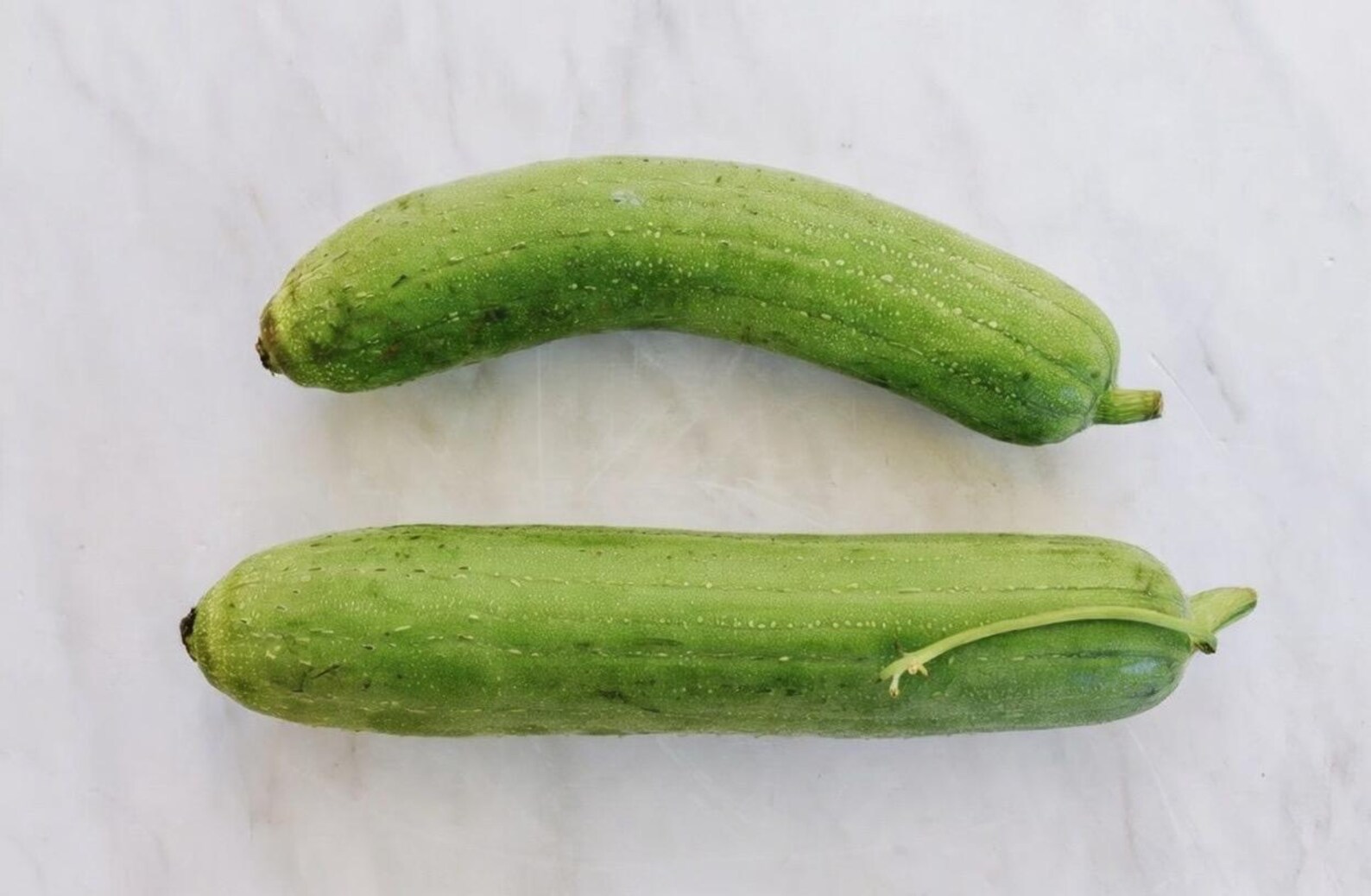 Luffa Acutangula Sponge Angled Chinese Okra Ridged Gourd Sinkwa Silky ...