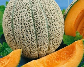 Puede incluir: Un melón cantalupo entero con una corteza texturizada de color verde claro y varias rodajas de pulpa naranja. El melón está rodeado de hojas verdes, con un fondo azul.